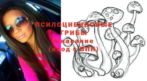 крисы Белокуриха