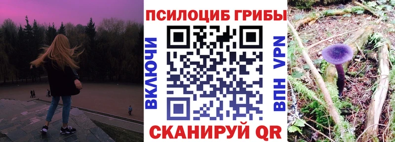 Галлюциногенные грибы Magic Shrooms  Купить  Севск 